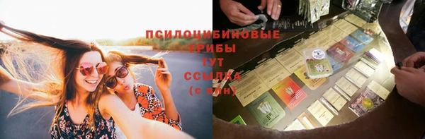 мет Арсеньев