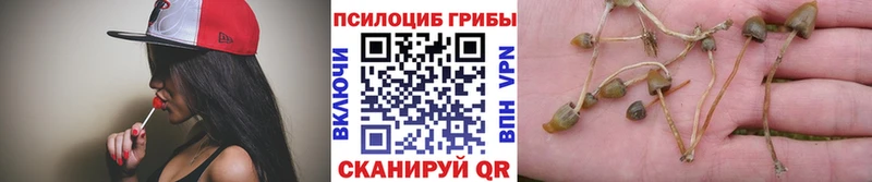 Галлюциногенные грибы Magic Shrooms Когалым