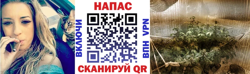 Конопля SATIVA & INDICA  Когалым 